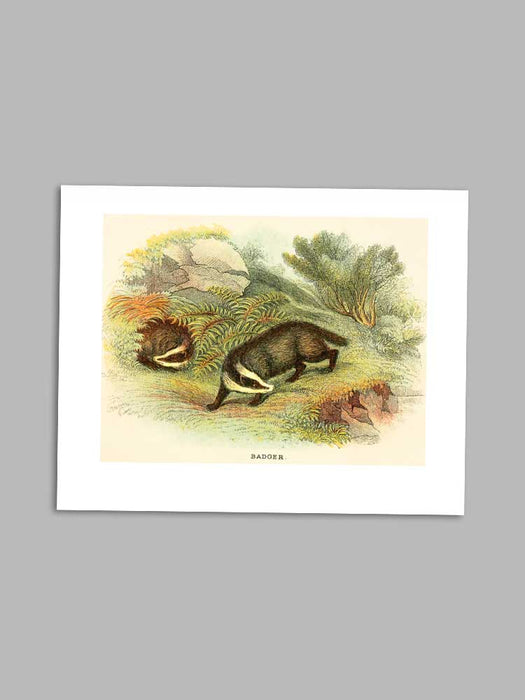 Badger - petite greeting card card Madame Treacle 