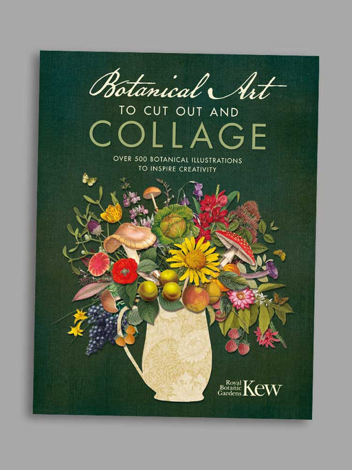 Botanical Art - cut out and collage Books Bookspeed 