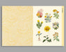 Botanical Art - cut out and collage Books Bookspeed 