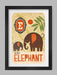 E is for Elephant Poster Print. Alphabet animal posters