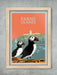 Farne Islands Puffins Poster Print