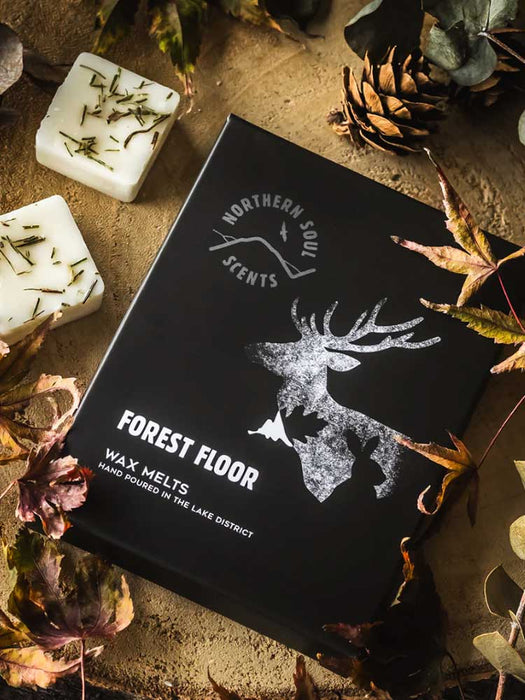 Lake District Wax Melt - Pack of 6 traditional gift The Northern Line Forest Floor 