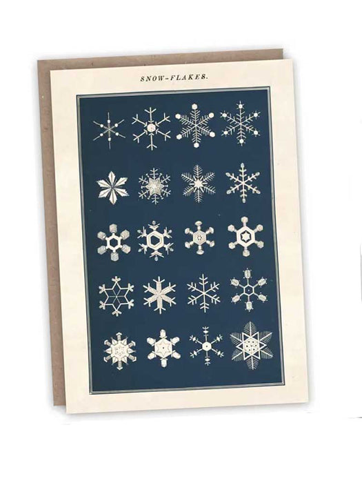 Snowflakes - Blank Greeting Card card The Pattern Book 