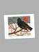 Winter Blackbird - Blank Card card Orwell Press 