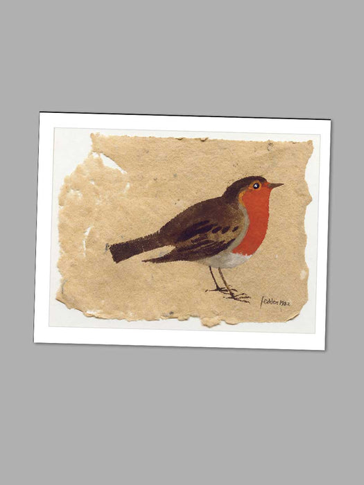 Winter Robin - Blank Card card Orwell Press 