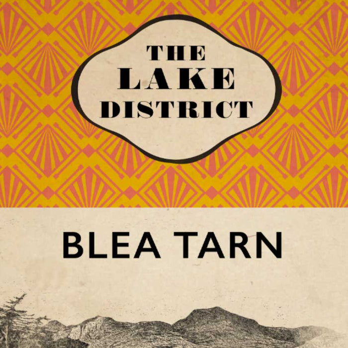 Blea tarn poster retro style book jacket print